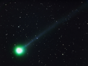Comet Swan (2006/10)